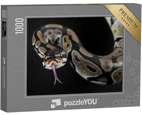 puzzleYOU: Puzzle 1000 Teile „Pythonschlange mit herausgestreckter Zunge“ – aus der Puzzle-Kollektion Schlangen, Tiere in Dschungel & Regenwald