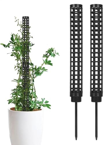Aterrollas De la planta, Monstera Pflanzenständer, Moss Pole Monstera, Pflanzenständer, Kletterpflanzenständer für Töpfe, Moosposen im Geiste atmungsaktiv, Flower Po Herram