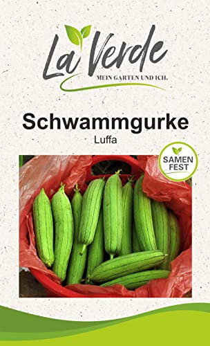 Schwammgurke Gurkensamen