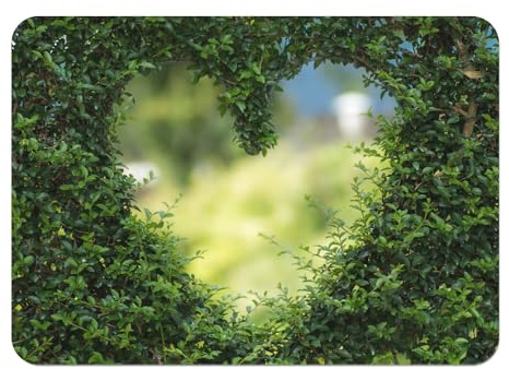 Platzdeckchen, Kork, Herzform, Buchsbaum, Kunst, Liebe, Natur, groß, 39,5 x 28,5 cm, 4 Stück