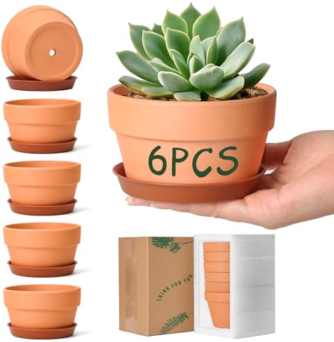 T4U Terracotta Plant Pots 11cm 6 Pack, Small Plant Pots for Beginners and Home Decor Lovers Growing Succulents on Windowsill or Desk, Clay Pots with Leakproof Plastic Saucer, Indoor Outdoor Use