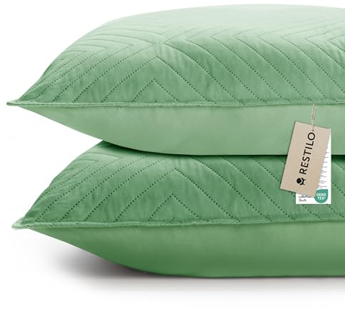 RESTILO Juego de 2 fundas de cojín de 50 x 70 cm, verde claro, verde, cojín decorativo para sofá, cojín decorativo, acolchado ultrasónico, suave, ideal para salón, dormitorio, sofá