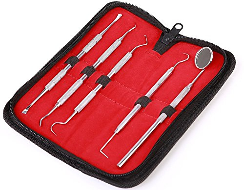 5er Dental Mundpflege Zahnpflege Set | Zur Zahnreinigung und als Zahnsteinentferner | Zahnsonde Mundspiegel Scaler | Aus echtem Edelstahl - hochwertige Qualität von HeavySun