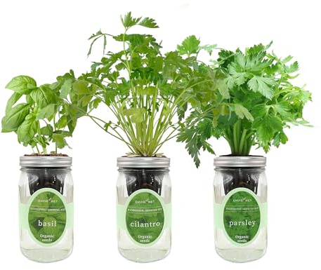 Environet Kit de culture hydroponique d'herbes aromatiques à arrosage automatique Mason Jar Kit de démarrage pour l'intérieur, rebord de fenêtre, herbes aromatiques, cultiver vos propres herbes à
