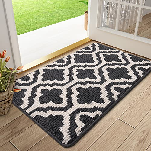 Homaxy Door Mats Indoor, Non-slip Soft Machine Washable Doormats, Dirt Trapper Mat Entrance Rug, Super Absorbent Floor Mats for Front Back Door, Entryway, Pets and Dogs (50 x 80 cm, Dark Grey)