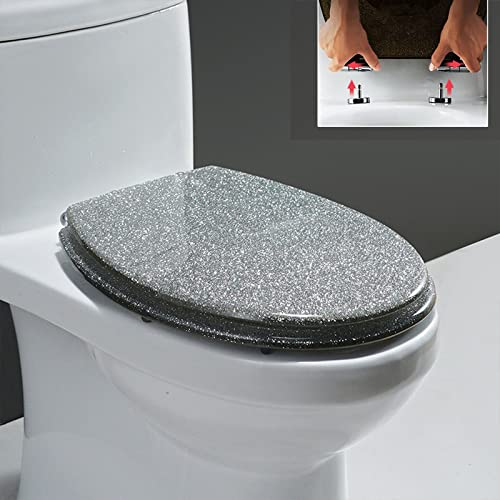 DRYFAL Abattant WC, Abattant De Toilette en Résine Paillettes, Abattant WC avec Frein De Chute, Solide Et Durable, Facile À Enlever Et À Installer, Abattant WC Paillettes,Argent