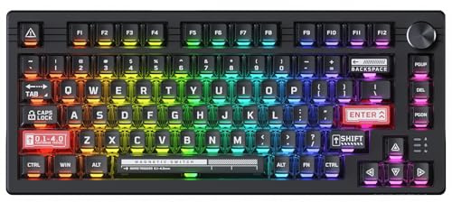 DAREU EK75 RT Clavier mécanique à déclenchement rapide, clavier à commutation magnétique, clavier de jeu TKL RVB avec bouton