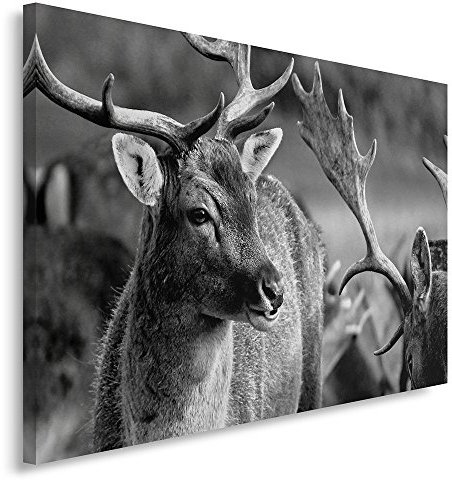 Feeby. Wandbild - 1 Teilig - 60x80 cm, Leinwand Bild Leinwandbilder Bilder Wandbilder Kunstdruck, HIRSCH, NATUR, SCHWARZ-WEIß