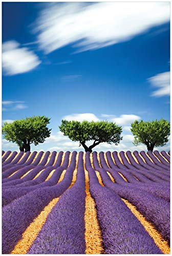 Wallario Glasbild Abstraktes lila Blumenfeld mit Lavendel - 60 x 90 cm Wandbilder Glas in Premium-Qualität: Brillante Farben, freischwebende Optik
