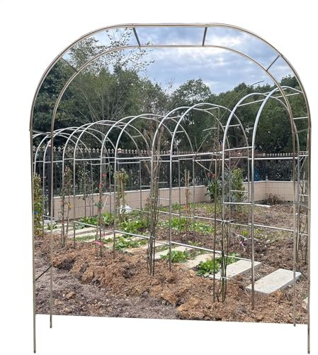 Stilvolle Gartenlaube aus Edelstahl, Hochzeitsbogen für Hinterhof, Rasen, 25 mm, 5 x 2,4 m