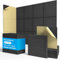 Panneaux Acoustiques Autoadhésifs 30x30cm • 12 Premium Panneaux Anti-Bruit 9mm • Kit Complet pour Studio Podcast/Home Cinéma/Salle de Streaming • Absorption Acoustique Immédiate (1,08m²)