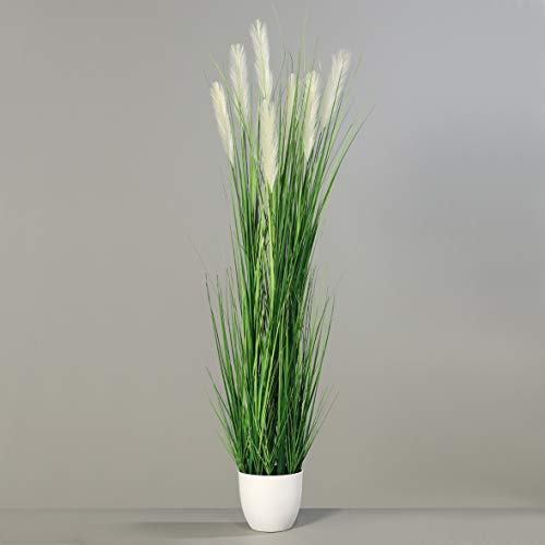Seidenblumen Roß Pampasgras im weißen Dekotopf DP Dekogras Kunstgras künstliches Gras Kunstpflanzen (170cm)