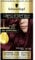 Schwarzkopf Oleo Intense Permanent Burgundy Hair Dye, Oil Enriched, Ammonia Free, Up to 100 Percent Grey Coverage, Burgundy Red 4-23