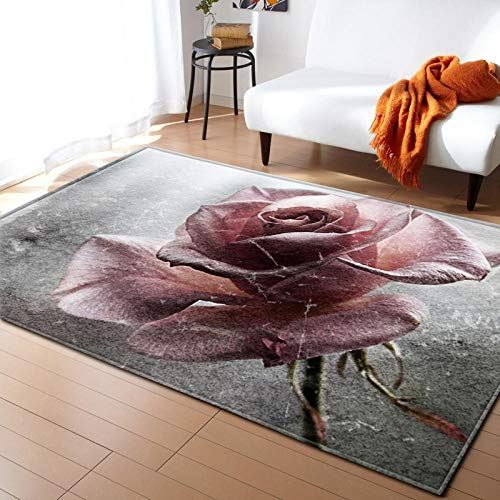 BEDSERG Outdoor Teppich Home Teppich Graue rosa Blumen Kurzflor rutschfest Teppich Modern Teppiche für Wohnzimmer 160x230cm