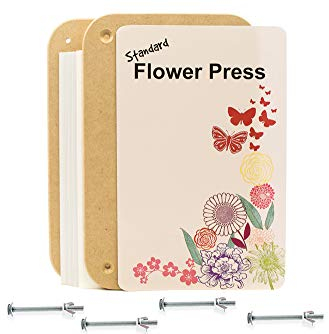 Peakdale Pressa per fiori, pressa per fiori rettangolare in legno, standard a molla, 275 x 175 mm