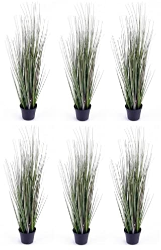 CREAFLOR HOME 6er Set künstliche Gräser, Grasbusch im Topf H. 50cm grün Emerald Zimmerpflanzen