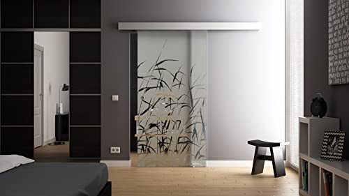 SoftClose-Glas-Schiebetür 775x2050 mm Schilf Gräser Sadora Slimline-System komplett Laufschiene und Muschelgriffen Schiebetür aus Glas für Innenbereich