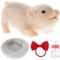 6 Inch Silicone Pig Doll Toy - Mini Reborn Soft Lifelike Cute Miniature Animal Toy - Realistic Simulation Body Piggy With Accessories for Kids Gift Home Decoration