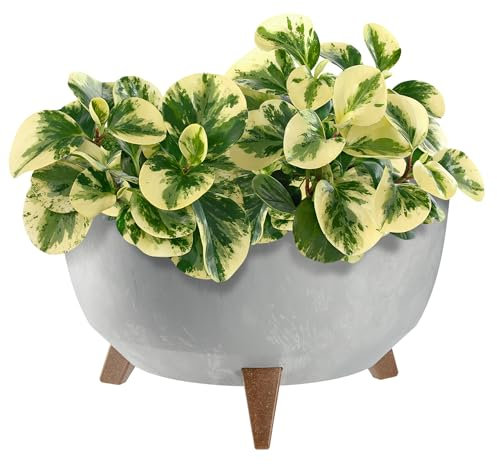 KADAX Pot de Fleurs en Plastique sur Trois Pieds, Effet Bois Élégant pour Sublimer la Décoration de Votre Maison et Jardin, Intérieur et Extérieur (Gris, 39.5 cm)