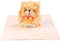 Geburtstagskarte Pop Up Bär, Plüsch Pop Karte 3D Pop Up Karte Geburtstag Teddybär Happy Birthday Karten mit Umschlägen Geburtstagstorte Bärenkarte für Geburtstagsgeschenk Mutter Ehefrau