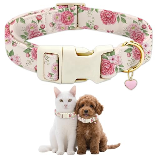 GLOBLELAND Hundehalsband Mit Rosen Blumen Welpenhalsband Rosa Verstellbar Mit Schnellverschluss Für Kleine Hunde Beim Spazierengehen Und Laufen