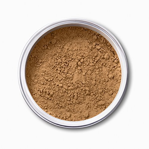 EX1 Cosmetics Pure Crushed Mineral Puder Foundation (11.0)