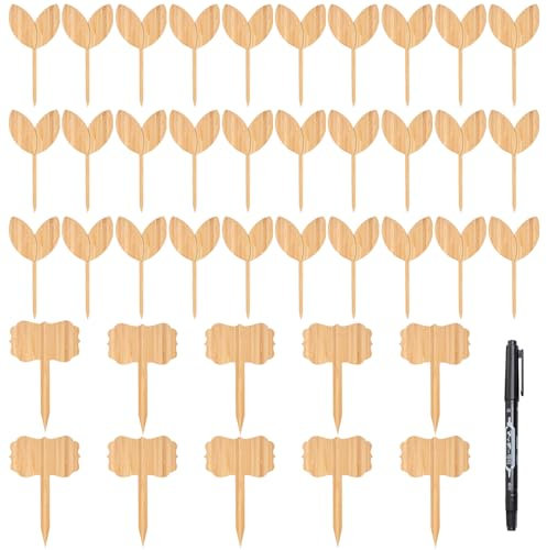 Lot de 40 étiquettes pour plantes en bois, 1 marqueur, étiquettes de jardin, étiquettes de pots de fleurs, étiquettes pour plantes d'extérieur