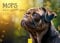Edition Seidel Premium Kalender Mops 2025 DIN A3 Wandkalender Hundekalender Möpse Hund Haustier Welpen Hunderasse Melanie Viola