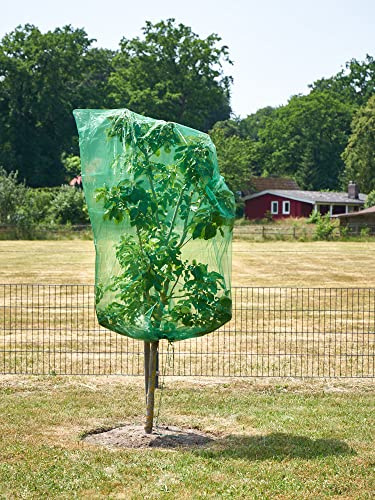 1 Frucht-Schutzbeutel mit Zugband, Zum Schutz vor Wespenfrass, Vögel, Schnecken, Kirschessigfliege und Anderen Insekten. Traubenschutz, Organzabeutel (dunkelgrün, 200x150 cm, Durchmesser 92 cm)