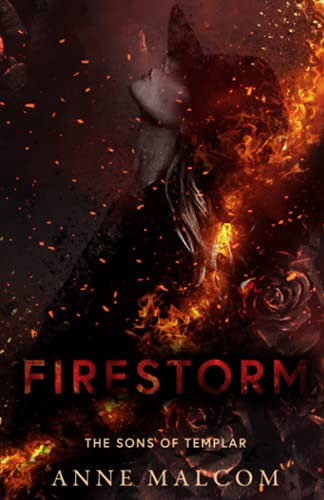 Firestorm (Sons of Templar MC Book, Band 2)