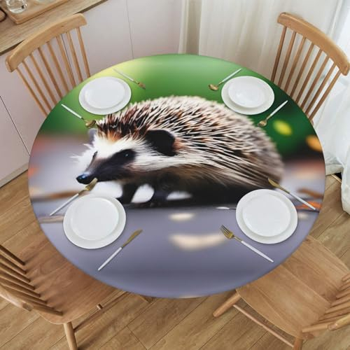 A Little Igel Tischdecke, rund, wasserdicht und abwischbar, mit elastischen Kanten, geeignet zum Dekorieren von runden Tischen.