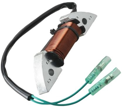 HGtAeW for 2-Takt 3B2-06123 8P 9,8P HDX 3B2-06123-1 3B2061231 M8/9,8B Außenbordmotor Lichtmaschine