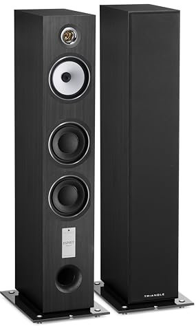 TRIANGLE - Hi-Fi-Standlautsprecher Antal EZ - Belastbarkeit 120 W - Wirkungsgrad 92 dB/W/m - Vielseitig für Musik und Heimkino - 200 x 1090 x 345 mm - Aschschwarz (Paar)