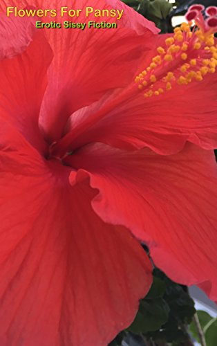 Flowers For Pansy