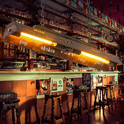 COCOL Vintage Industrie Pendellampe Vintage Hängelampe Restaurant Bar Beleuchtungssystem Pendelleuchte Wohnzimmer Schlafzimmer Dekoration Kronleuchter Deckenlampe E27 * 2 Iron Art Höhenverstellbar