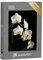 puzzleYOU: Puzzle 1000 Teile „Weißer Orchideenzweig voller Blüten“ – aus der Puzzle-Kollektion Orchideen