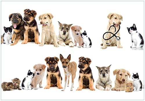 Wallario Vliestapete Fototapete Süße Haustiere - Katzen Hunde Hamster Küken - Wandtapete Größe: 200 x 140 cm