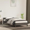 Hovothy Bettgestell mit Kopfteil Samt 100x200 cm Bett Betten Stauraumbett Gepolsterter Plattformbettrahmen Bett Teenager Schrankbett Bed Frame Dunkelgrau