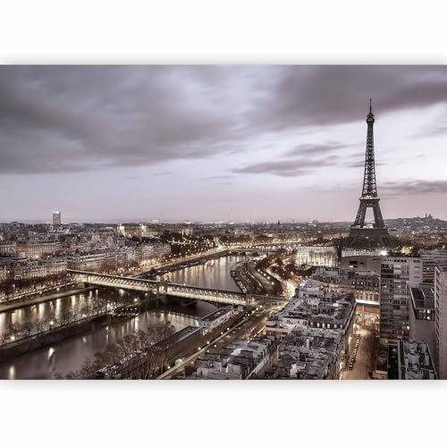 murando - Papier peint panoramique ville 350x256 cm - Revêtement mural décoration salon - Design moderne - Blanc noir marron - Architecture france ville paris fleuve tour eiffel d-B-0207-a-c