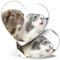 2 x Herz-Aufkleber 15 cm – bezaubernde Meerschweinchen, Tier-Aufkleber für Laptops, Tablets, Gepäck, Scrapbooking, Kühlschränke, 8124