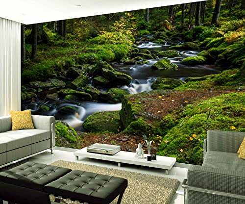 XAONUO Arroyo Papel Pintado 3D Murales - Verde Plantas Corriente 400X280Cm - Fotomurales Para Salón Natural Landscape Foto Mural Pared, Dormitorio Corredor Oficina Mural