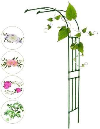 YQMHEZ Verstellbarer Gartenbogen aus Stahl, Kletterhilfen for Kletterpflanzen, Pavillon-Außendekoration, for Verschiedene Kletterpflanzen, Rosenreben, Brautparty-Dekoration, frei zusammenbaubar (Colo