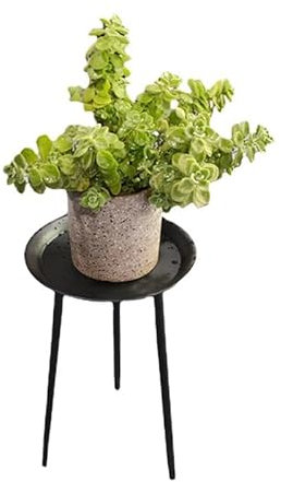 Nvzi -c 1 Stück 29,5 cm x 52,8 cm hoch Pflanzenregal Metall Indoor Pflanztisch Rack Kleiner Beistelltisch Blumentopf Runder Beistelltisch Modern Wohnzimmer Balkon Ecke Garten Terrasse Dekoration