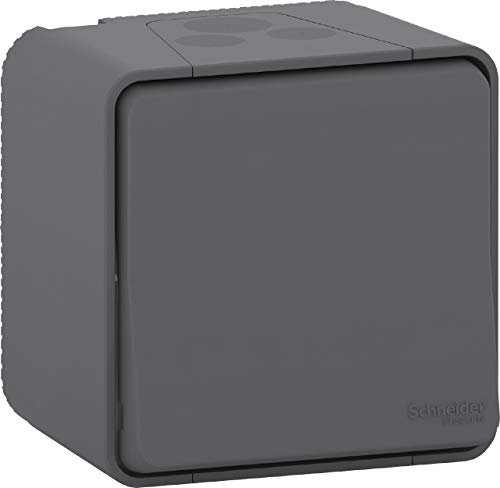 Schneider Electric MUR35033 Mureva Styl - Interrupteur bipolaire - saillie - IP55 - IK08 connex auto - gris