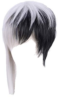 GZIRUE Silber Schwarze Kurze Gerade Haar für Halloween Party Anime Dr Gen Asagiri Cosplay Perücke Wig Kostüm