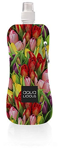 Aqua-Licious faltbare Trinkflasche mit Karabiner, wiederverwendbar, BPA-frei, 500ml, ideal für Festivals&Konzerte