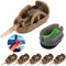 6 Stück Angeln Inline Feeder, Inline Method Feeder, Karpfenangeln Feeder Set, Method Feeder Set Karpfenangeln Zubehör, Inline Feeder Korb 20g,30g,40g,50g,60g