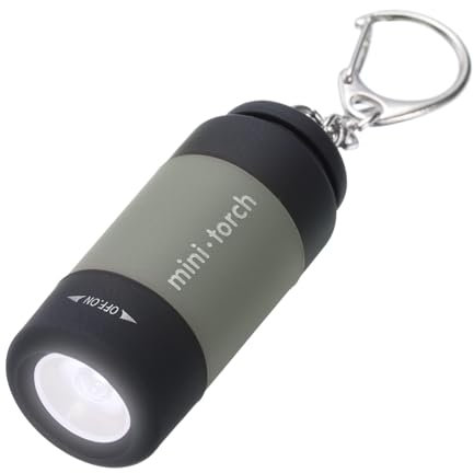 PATIKIL Mini Keychain Flashlight, Pocket LED Flashlight Portable Torch USB Rechargeable for Outdoor Camping Party, Grey