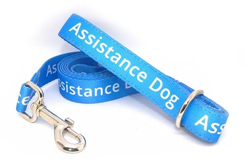 Durable Blue Assistance Dog Lead - 2.5cm/152cm - Padded Handle