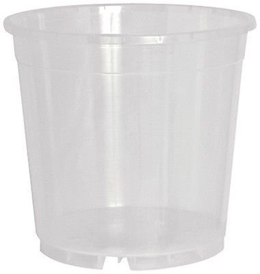 Blooming Weather Standard Clear Orchid Pot - 15cm - Pack of 5